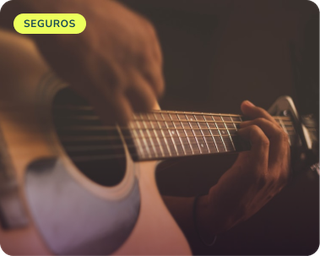 Seguros